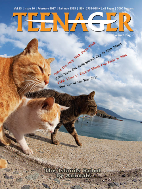 Teenager - Volume:13 Issue: 86, 2017