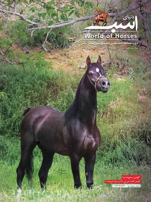 دنیای اسب - پیاپی 64 (پاییز 1396)