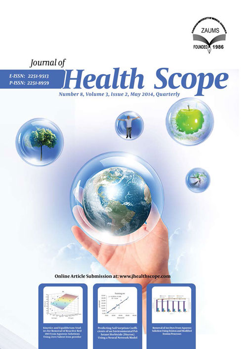 Health Scope - Volume:8 Issue: 2, May 2019