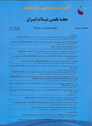 علمی شیلات ایران - سال بیست و یکم شماره 1 (پیاپی 78، بهار 1391)