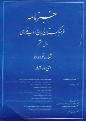 خبرنامه فرهنگستان زبان و ادب فارسی - پیاپی 92 (دی 1382)