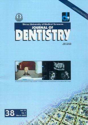 Dentistry, Shiraz University of Medical Sciences - Volume:14 Issue: 1, Mar 2013