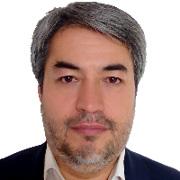 Sayyed Mousavi، Sayyed Hossain