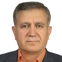 لطفی فاطمی، سید ناصر