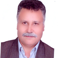 حسینی، سید محمد