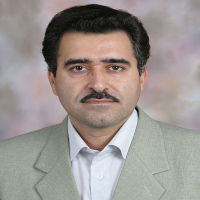حسینی، سید علی