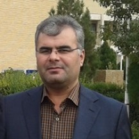 Mokhtari Hashi، Hossein