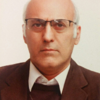 Modir Shanechi، Mohsen