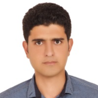 دکتر محمدحسین احمدی