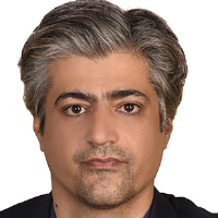 Mousavi Zade، Seyed Mojtaba