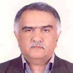 دکتر محمدهاشم امامی