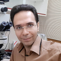 دکتر میر محمد میری
