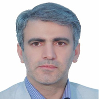 دکتر حمیدرضا پوررضا