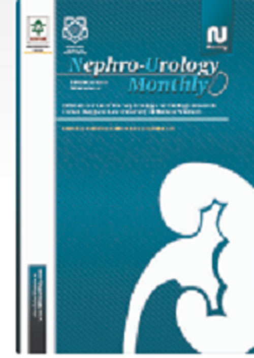 Nephro-Urology Monthly - Volume:11 Issue: 3, Aug 2019