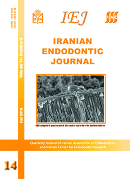 Iranian Endodontic Journal - Volume:14 Issue: 4, Fall 2019