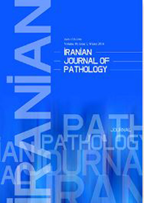 Pathology - Volume:16 Issue: 1, Winter 2021