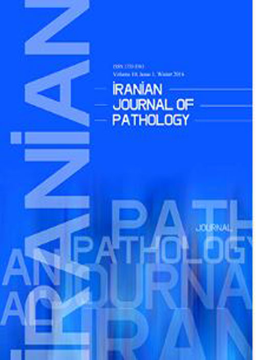 Pathology - Volume:16 Issue: 3, Summer 2021