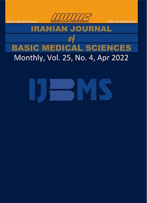 Basic Medical Sciences - Volume:25 Issue: 5, May 2022