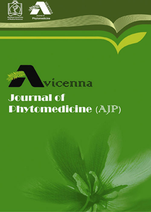 Avicenna Journal of Phytomedicine - Volume:12 Issue: 6, Nov-Dec 2022