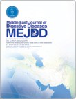 Middle East Journal of Digestive Diseases - Volume:14 Issue: 4, Oct 2022