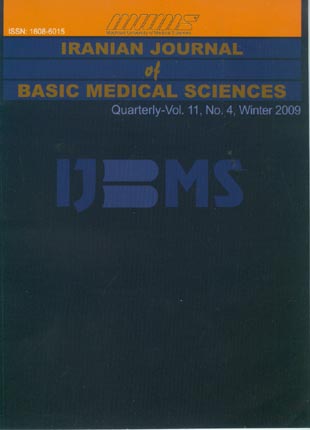 Basic Medical Sciences - Volume:11 Issue: 4, Winter 2009