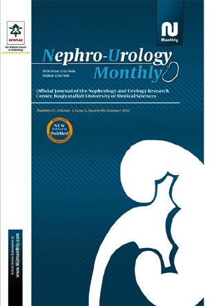 Nephro-Urology Monthly - Volume:5 Issue: 3, Jul 2013