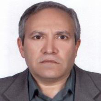 دکتر ناصر مجنون حسینی