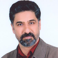 Salimi Bejestani، Mohammad Reza