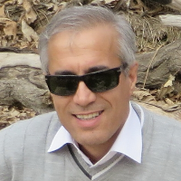 Salehi Kakhki، Ahmad