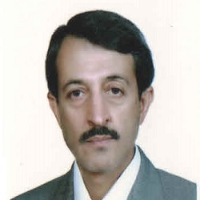مجدزاده، سید مسعود