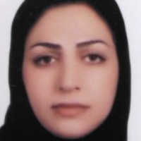 Shatizadeh Malekshahi، Somayeh