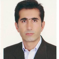 دکتر حسین سادین