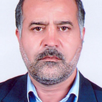 علی زارعی محمودآبادی