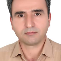 Vafaei، Seyyed Hossein