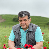 Mousavi Kouhpar، Seyed Mehdi