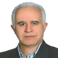 دکتر محمدتقی شیخی